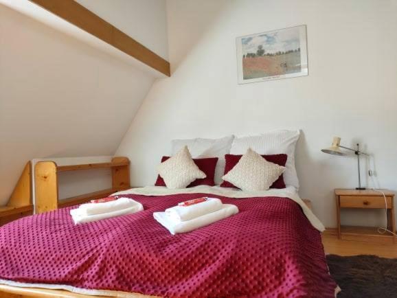 Apartament W Centrum Przy Kominku ザコパネ エクステリア 写真